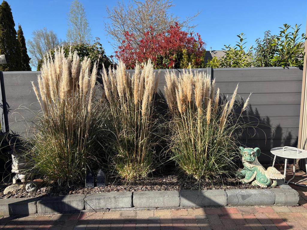 Stapel blok tbv borderbak/ Stenen gratis af te halen, Tuin en Terras, Tegels en Klinkers, Ophalen of Verzenden, Zo goed als nieuw