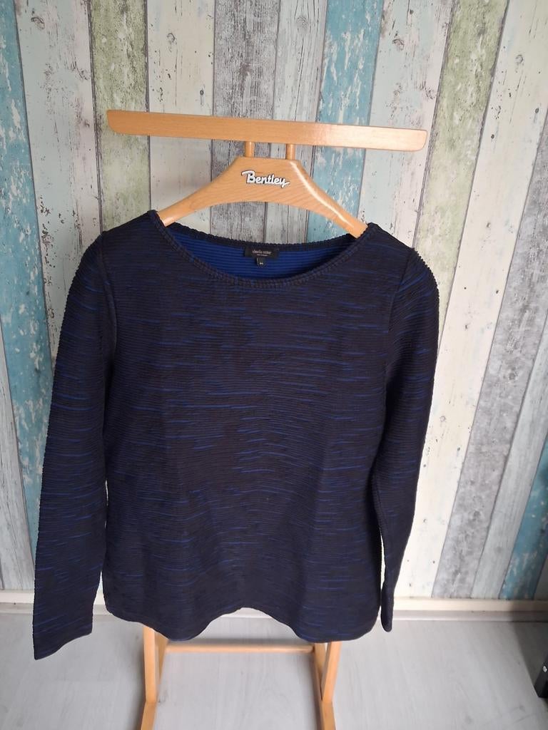 Claudia Sträter top maat 44, Kleding | Dames, Tops, Zo goed als nieuw, Maat 42/44 (L), Blauw, Lange mouw, Ophalen of Verzenden