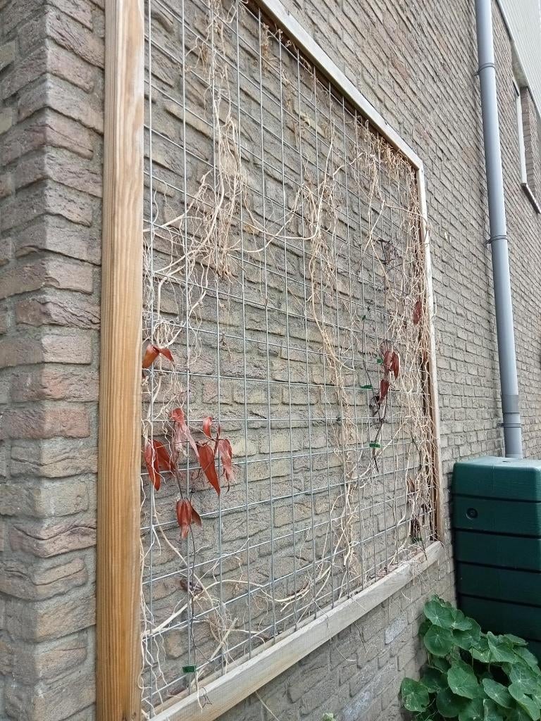 muurrek voor klimplanten, hout, Ophalen, Gebruikt