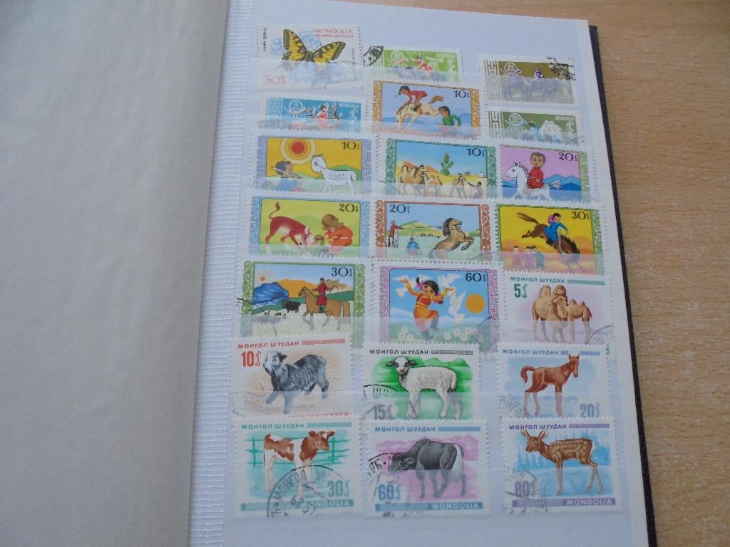 FAUNA.  Leuke partij dieren., Ophalen of Verzenden, Buitenland