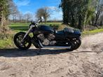 Harley Davidson V-Rod Muscle 2010 5h (Nieuwstaat), Motoren, 2 cilinders, Motorrijbewijs A, Particulier, Meer dan 35 kW