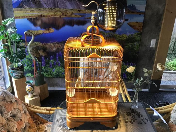 Zangkooi uit Indonesië voor shamalijster, Dieren en Toebehoren, Vogels | Hokken en Kooien, Zo goed als nieuw, Vogelkooi, Hout