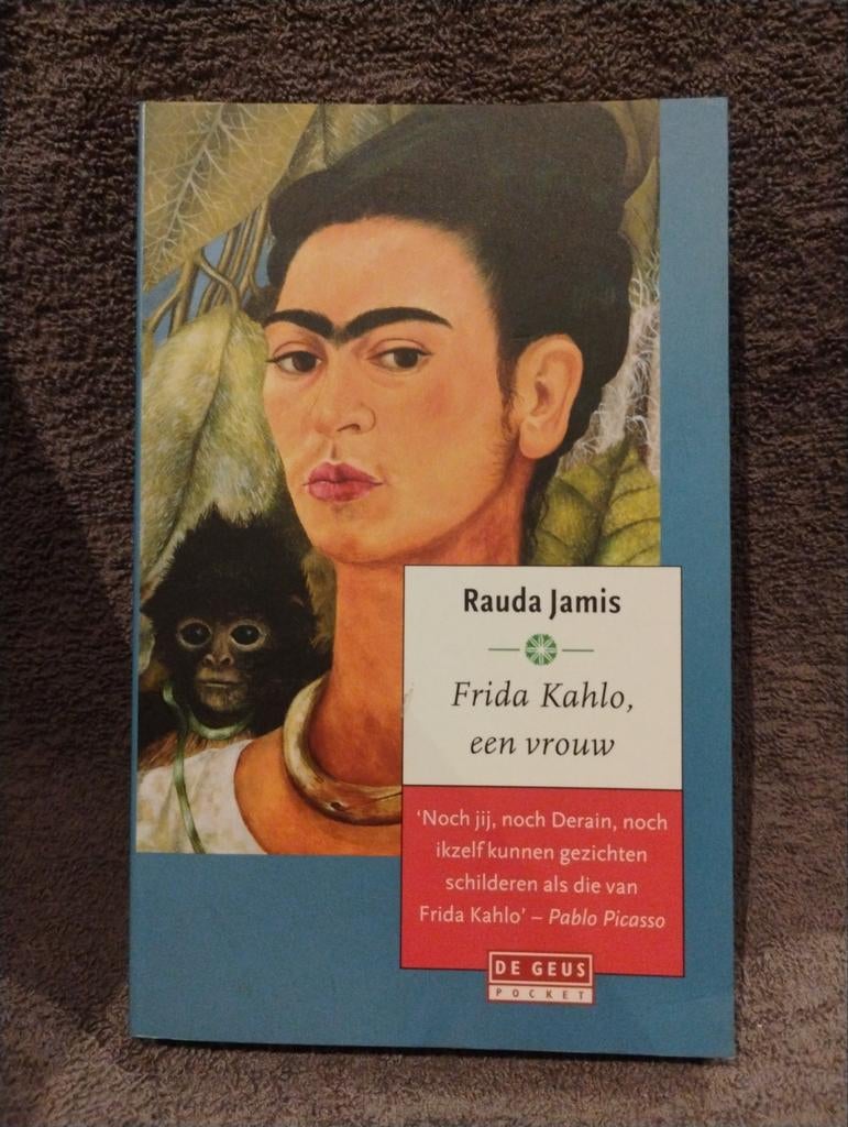 Frida Kahlo, een vrouw - Rauda Jamis, Ophalen of Verzenden, Zo goed als nieuw, Rauda Jamis, Kunst en Cultuur