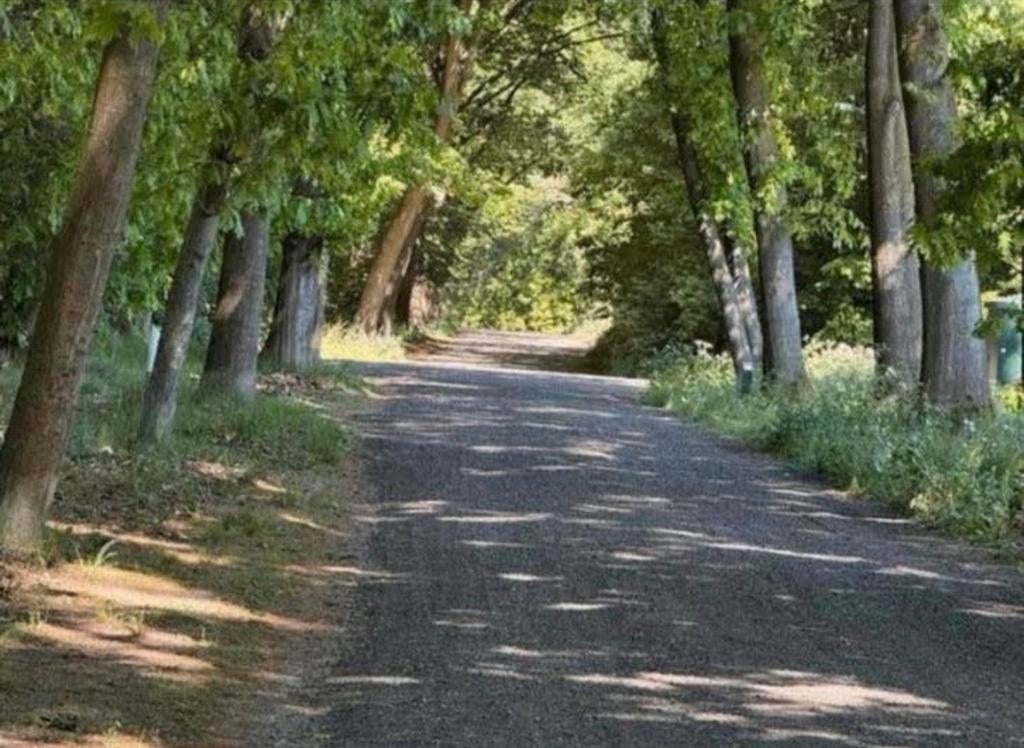 10 pensionstalling  te huur/paardenaccommodatie, Weidegang, 4 paarden of pony's of meer