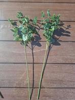 Kunstbladeren, Ophalen of Verzenden, Zo goed als nieuw, Binnen