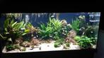 juwel aquarium 180 incl alle toebehoren, Ophalen, Zo goed als nieuw, Leeg aquarium