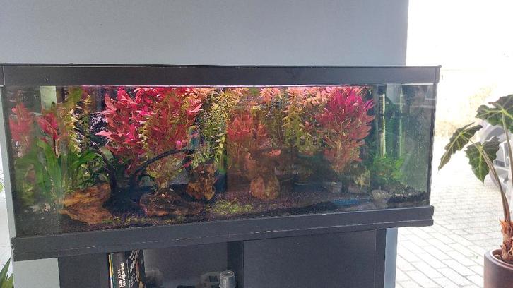 Aquatlantis Aquarium 100x40x40 cm incl. onderkast, Dieren en Toebehoren, Vissen | Aquaria en Toebehoren, Gebruikt, Gevuld zoetwateraquarium