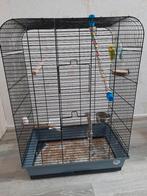 Grote vogelkooi, Dieren en Toebehoren, Ophalen, Zo goed als nieuw, Metaal, Vogelkooi