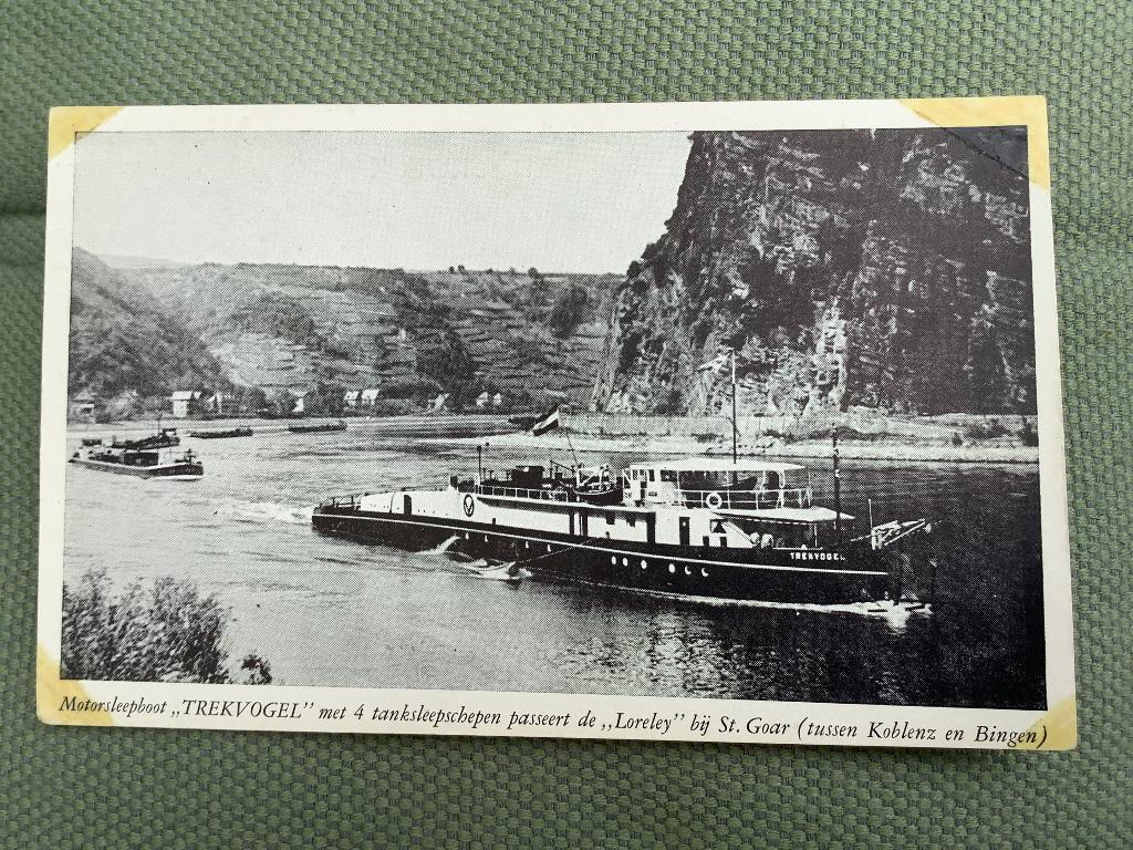Van Ommeren Rotterdam, motor sleepboot: De Trekvogel 1948, Verzamelen, Scheepvaart, Ophalen of Verzenden, Gebruikt, Kaart, Foto of Prent