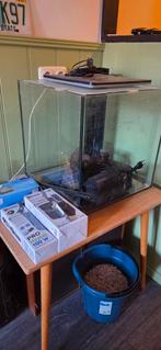 Aquarium superfish, Ophalen, Zo goed als nieuw, Leeg aquarium