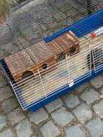 Grote cavia kooi, Kooi, 75 tot 110 cm, Cavia, Ophalen