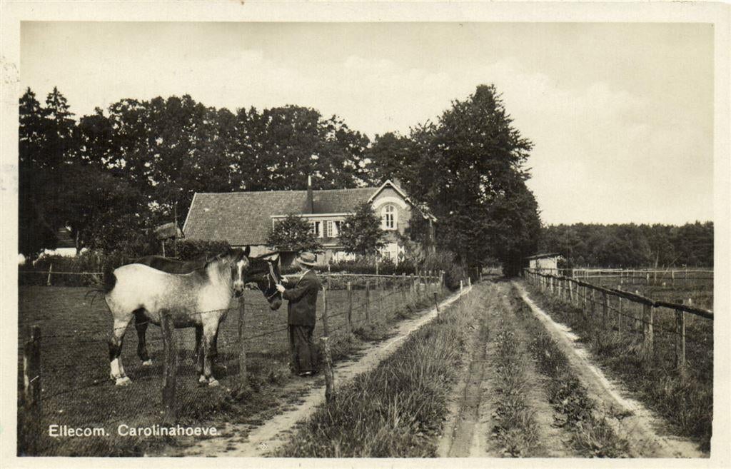 Ellecom. Carolinahoeve - man paarden - 1933 gelopen, Verzenden, Voor 1920, Gelopen, Noord-Brabant