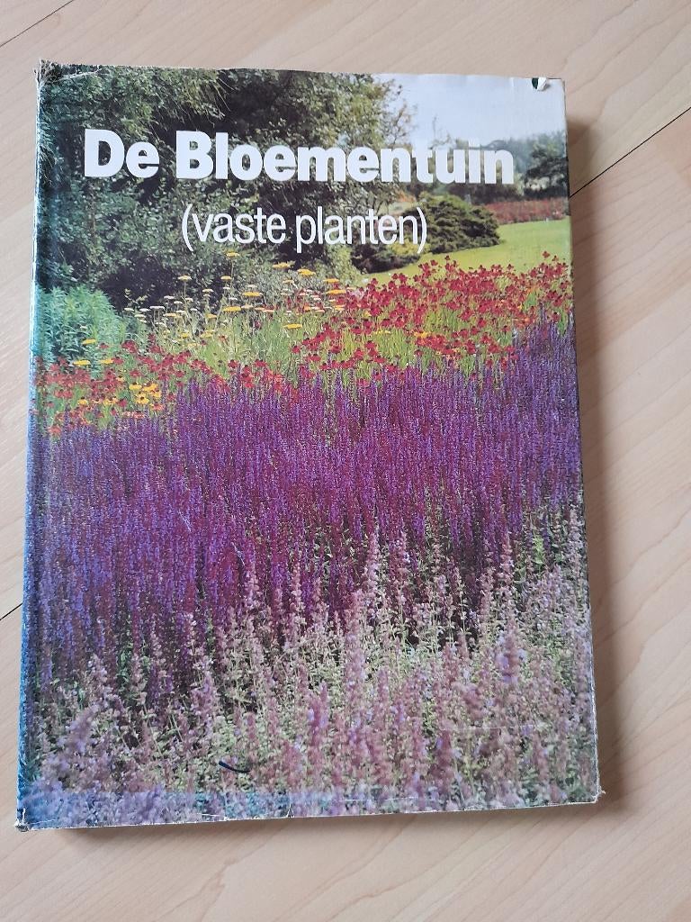 DE BLOEMENTUIN door Dirk Beijer vaste planten, Boeken, Wonen en Tuinieren, Ophalen of Verzenden, Gelezen, Tuinieren en Tuinplanten