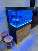 Zoutwater aquarium eheim incpiria 330, Dieren en Toebehoren, Vissen | Aquaria en Toebehoren, Ophalen, Zo goed als nieuw, Gevuld zeewateraquarium