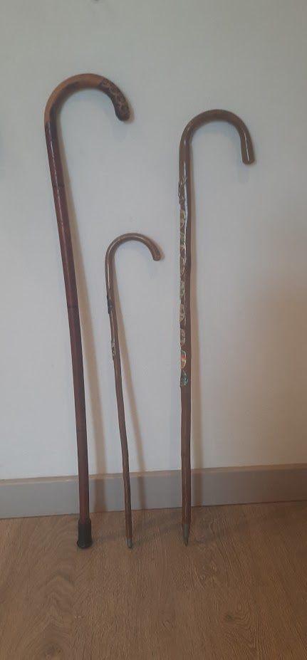 3 Mooie vintage  Alpen wandelstokken, Ophalen of Verzenden