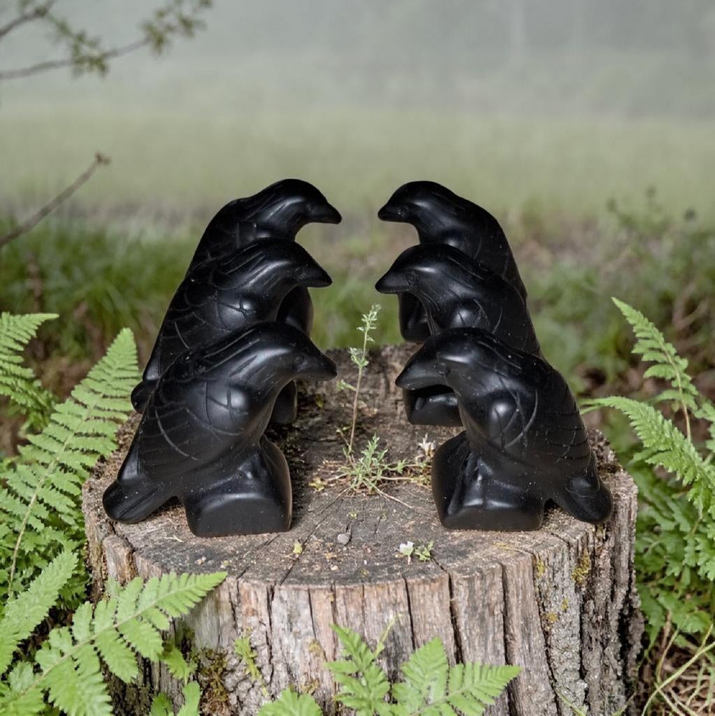 Obsidiaan raven ( SALE SALE SALE), Ophalen of Verzenden, Mineraal