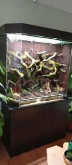 Paludarium, Dieren en Toebehoren, Reptielen en Amfibieën | Toebehoren, Ophalen, Nieuw, Terrarium of Paludarium
