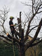 Bomen werk! Van kappen/snoeien tot planten.