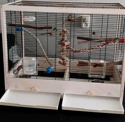 Ferplast Giulietta 6 vogelkooi + veel accessoires, Dieren en Toebehoren, Vogels | Hokken en Kooien, Ophalen, Zo goed als nieuw