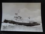 ansichtkaart sleepboot "Europa", Ophalen of Verzenden, Nieuw, Motorboot, Kaart, Foto of Prent