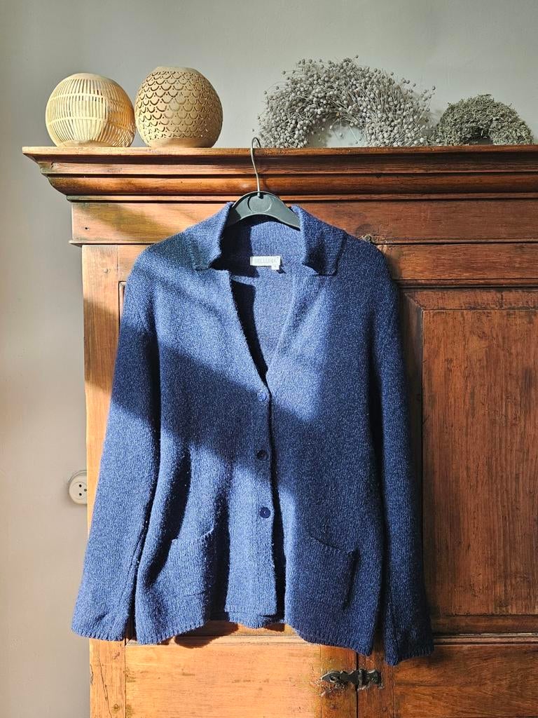 Blauw vest, Kleding | Dames, Truien en Vesten, Zo goed als nieuw, Maat 42/44 (L), Blauw, Ophalen of Verzenden