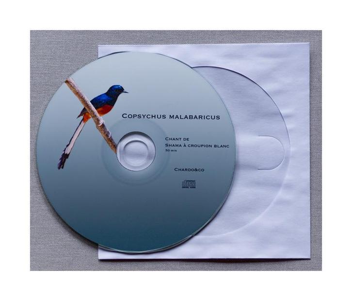 Schamalijster, Dieren en Toebehoren, Vogels | Overige Vogels, Tropenvogel, Meerdere dieren, Tam, Geringd