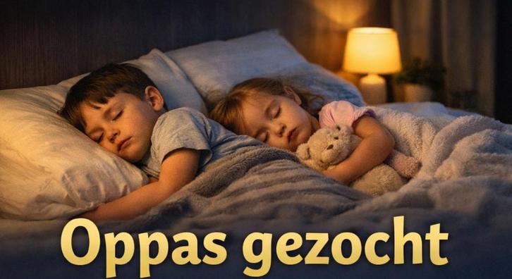 Oppas gezocht (Arnhem. VELP), Vacatures, Goede doelen en Vrijwilligerswerk, Geschikt als bijbaan