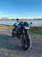 Kawasaki Z650 (A2) - 2024 - Naked Bike, 2 cilinders, Particulier, Minimaal motorrijbewijs A2, Sportuitlaat