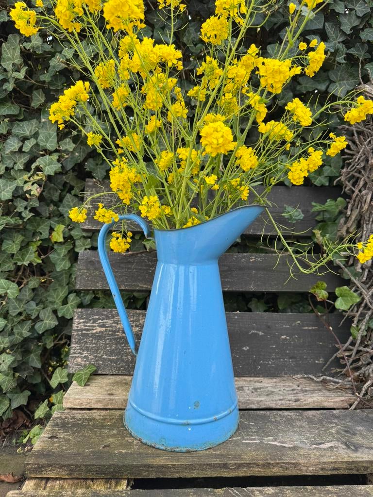 Emaille blauwe waterkannen kannen brocante, Ophalen