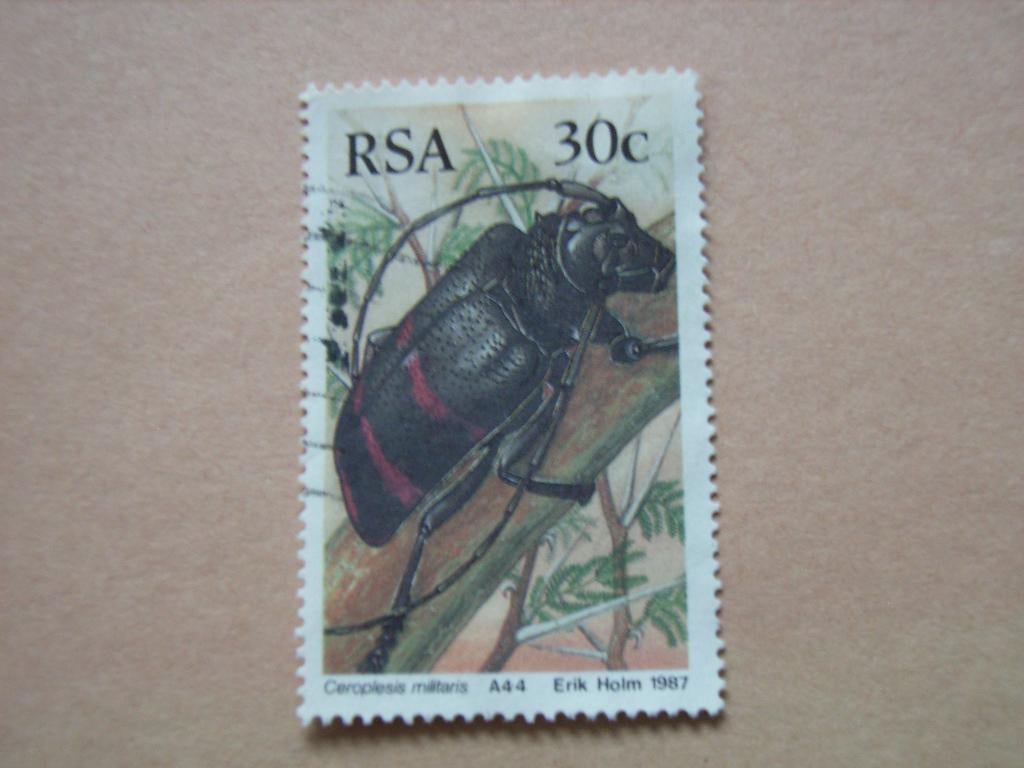 NB  Zuid Afrika 704, Ophalen of Verzenden, Zuid-Afrika, Gestempeld