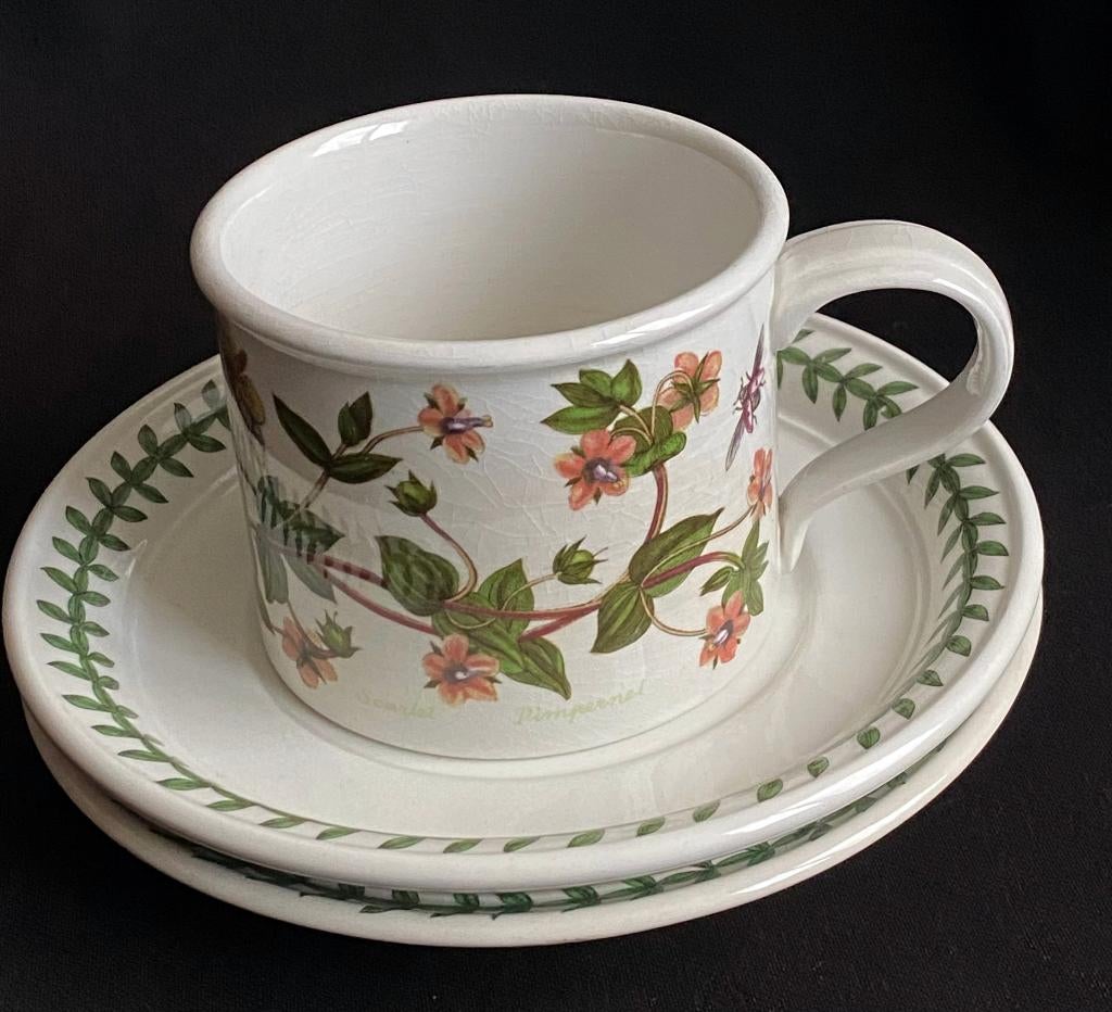 Kop met 2 schotels van The Botanic Garden, los te koop, Ophalen of Verzenden, Zo goed als nieuw, Overige stijlen, Kop(pen) en/of Schotel(s)