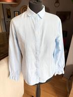 Purdey mooie lichtblauwe katoenen blouse mt 40 ZGAN, Maat 38/40 (M), Blauw, Ophalen of Verzenden, Zo goed als nieuw