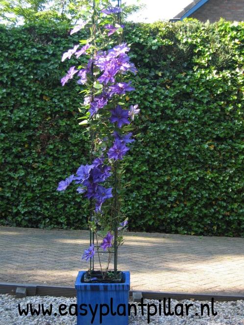 VERTICAAL TUINIEREN op het terras en balkon, Huis en Inrichting, Woonaccessoires | Kunstplanten en Kunstbloemen, Nieuw, Ophalen of Verzenden