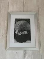 Fotolijst zilver 4 stuks 30x40cm (NIEUW), Ophalen of Verzenden, Nieuw