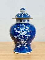 Grote prunus vaas 32cm gemerkt, Ophalen of Verzenden