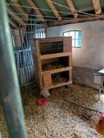 Konijnen  hok, Ophalen of Verzenden