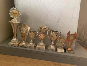 Prijzen paardensport beschikbaar voor biedingen