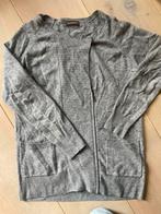 Repeat wol cashmere vest 38, Kleding | Dames, Ophalen of Verzenden, Zo goed als nieuw, Maat 38/40 (M), Grijs