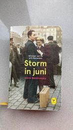 Boek Storm in juni - Irene nemirovsky -  colibri 15 -, Boeken, Ophalen of Verzenden, Zo goed als nieuw