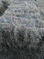 Te koop kleine pakken hooi., Dieren en Toebehoren, Ophalen, Vee