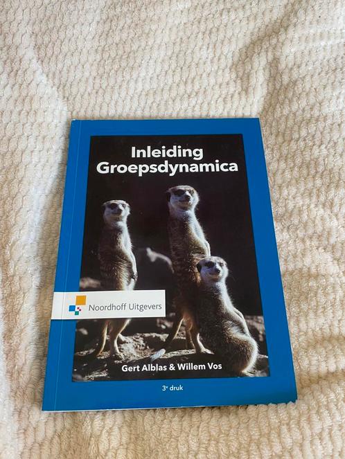 Willem Vos - Inleiding groepsdynamica, Boeken, Psychologie, Zo goed als nieuw, Ophalen of Verzenden