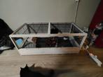 2 lieve cavia beertjes 6 weken incl grote kooi, Cavia, Augustus, Mannelijk, Tam