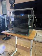 ADA Aquarium Cube Garden compleet 45P, Ophalen, Zo goed als nieuw, Gevuld zoetwateraquarium