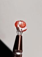 Wulfeniet - Red Cloud Mine, Arizona, VS, Verzamelen, Ophalen of Verzenden, Mineraal