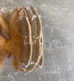 Clip-in hairextensions - 200 gram, Sieraden, Tassen en Uiterlijk, Ophalen of Verzenden, Zo goed als nieuw, Pruik of Haarverlenging