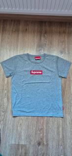 Supreme T-shirt - Valt klein!, Kleding | Heren, T-shirts, Maat 52/54 (L), Verzenden, Zo goed als nieuw, Grijs
