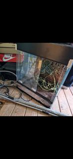 terrarium, Dieren en Toebehoren, Reptielen en Amfibieën | Toebehoren, Ophalen