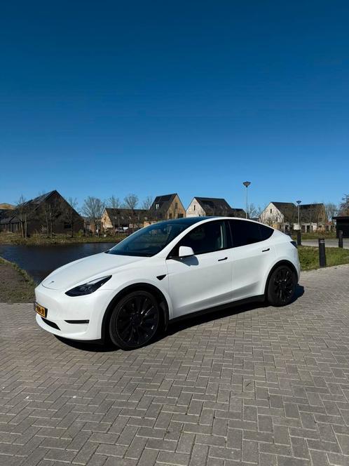 Tesla Model Y sept 2022 Wit Performance BTW auto, Auto's, Tesla, Bedrijf, Model Y, 360° camera, 4x4, ABS, Achteruitrijcamera, Adaptieve lichten