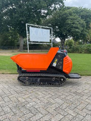 Rupsdumper cormidi dumper 2019! kruiwagen beschikbaar voor biedingen