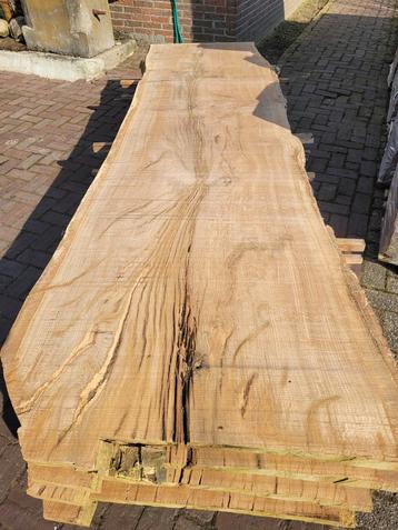 Uniek massief eiken boomstam platen 75 tot 100 cm breedte  beschikbaar voor biedingen